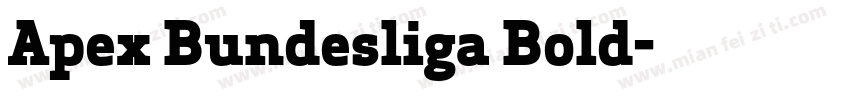 Apex Bundesliga Bold字体转换